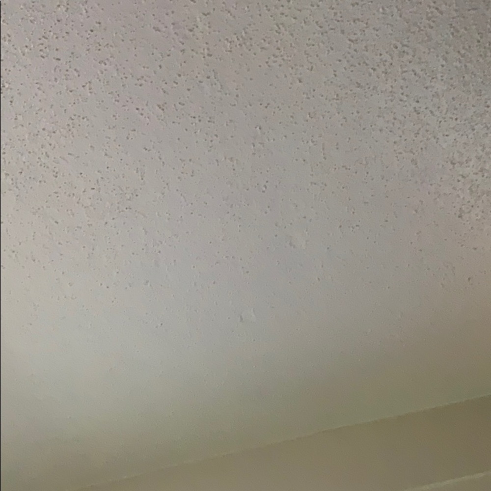 Meet your Posher, Shanese